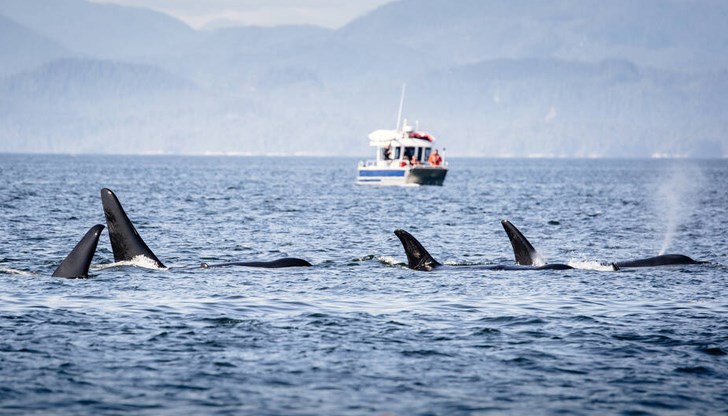 Танкер е спаси двама души на борда Танкер е спаси двама души на борда