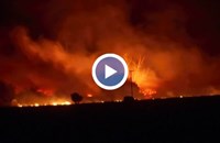 Евакуират хиляди хора заради пожари в Калифорния