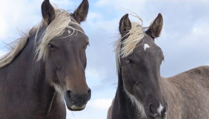 Разследват причината за пожара Разследват причината за пожара