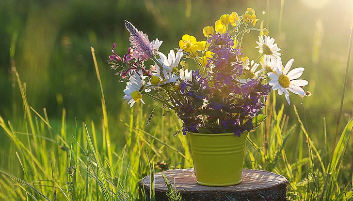 Максималните температури в събота ще са предимно между 35-38 градуса Максималните температури в събота ще са предимно между 35-38 градуса