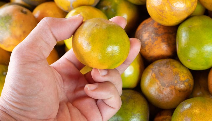 Производителите и вносителите ще са длъжни да разследват жалбите от клиенти с твърдения за опасност Производителите и вносителите ще са длъжни да разследват жалбите от клиенти с твърдения за опасност