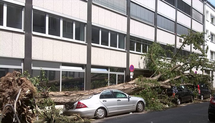 2700 сигнала за поражения: Дървета са изкоренени, паднали са светофари, наводнени са мазета