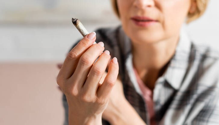 В бъдеще притежанието на малки количества канабис ще бъде смятано единствено за административно нарушение