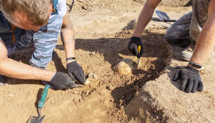 Древният примат е живяла преди 11 милиона години на територията на съвременна Германия Древният примат е живяла преди 11 милиона години на територията на съвременна Германия