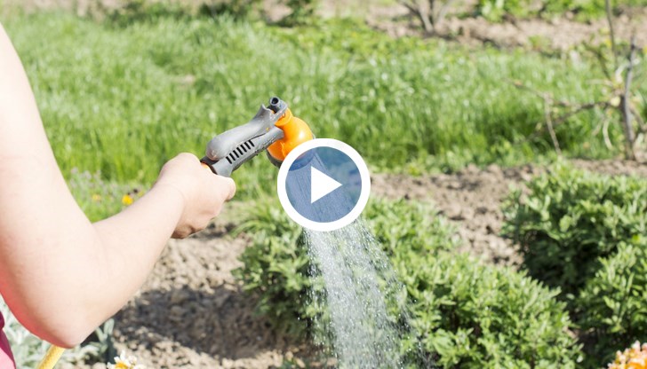 Ако някой бъде хванат да полива с питейна вода, ще трябва да се раздели с 500 лева, а ако след това повторно пусне маркуча в градината глобата вече е 2000 лева