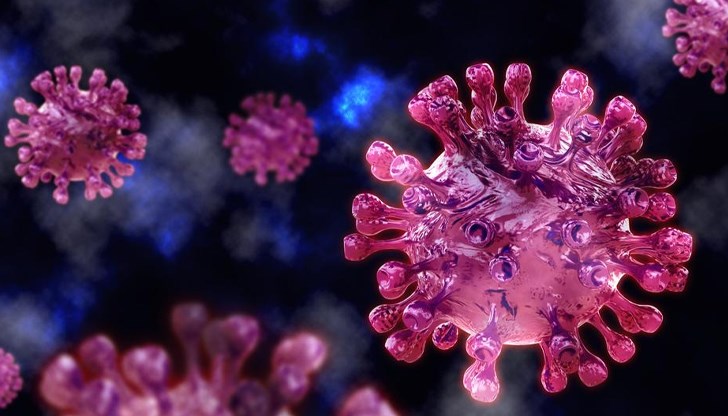 От 1 юли спира функционирането на Националната система за борба с COVID-19, както и Единния информационен портал – coronavirus.bg