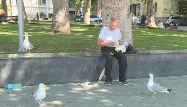 Често се стига до нападения над хора, които държат храна в ръцете си Често се стига до нападения над хора, които държат храна в ръцете си