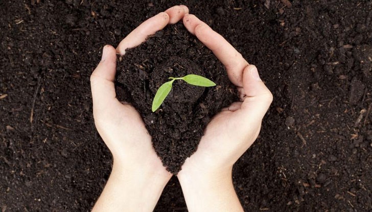 В Русенско се очакват по-ниски нива на почвени влагозапаси В Русенско се очакват по-ниски нива на почвени влагозапаси