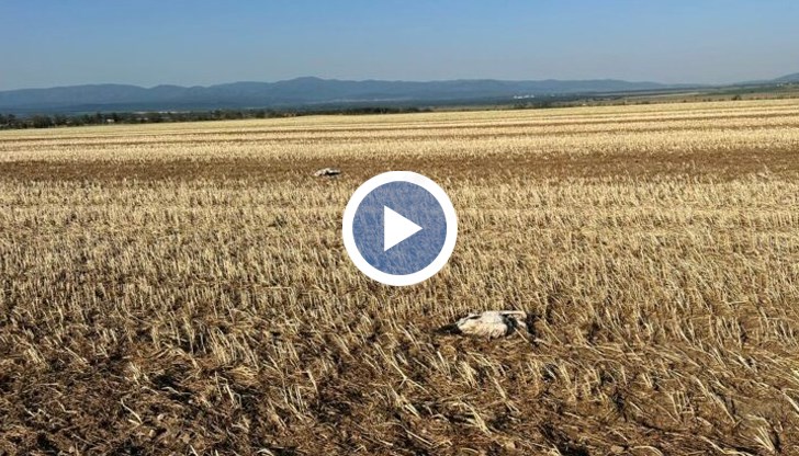 Един много гневен мъж от Шипка