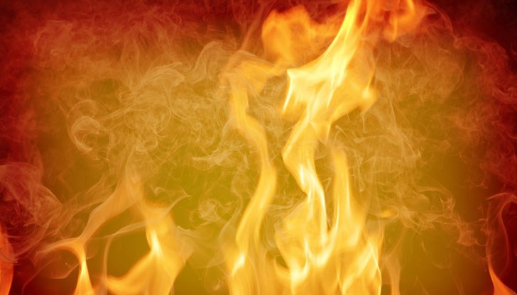 Пламъците са обхванали битови отпадъци и гнездо на гълъби Пламъците са обхванали битови отпадъци и гнездо на гълъби