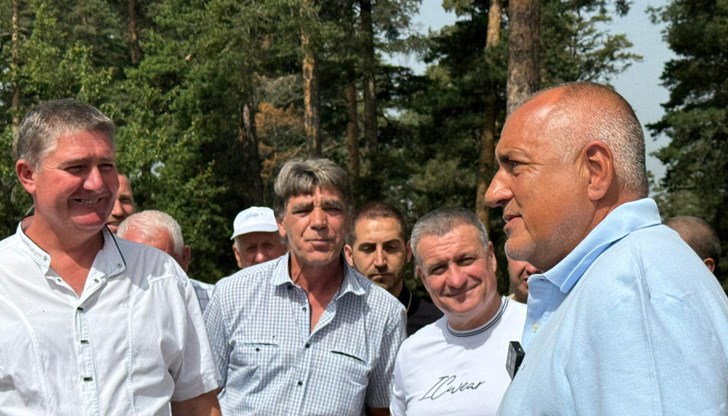 Сега като ви слуша Корнелия Нинова ще тупне Сега като ви слуша Корнелия Нинова ще тупне