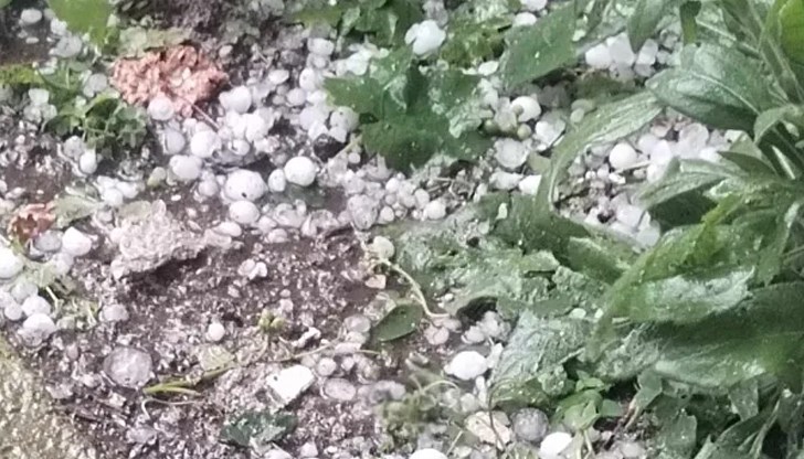 Продукцията на хората в селото и по полето е унищожена Продукцията на хората в селото и по полето е унищожена