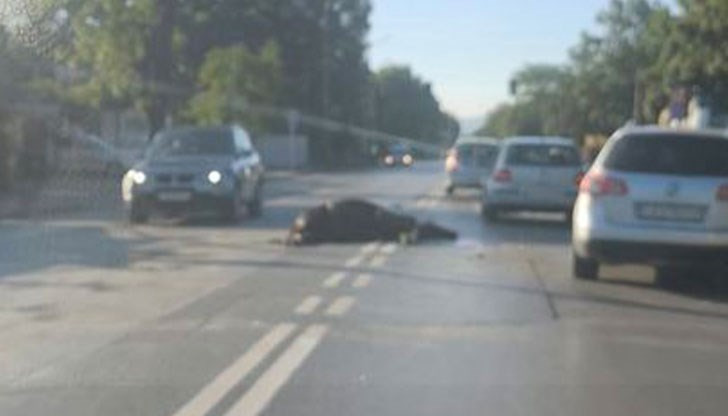 Граждани са сигнализирали за инцидента на 112 Граждани са сигнализирали за инцидента на 112