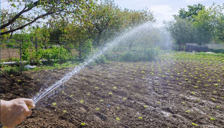 Очаква се в понеделник каналите на „Напоителни системи“ в Шуменско да пресъхнат