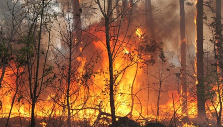 Властите предупреждават жители и туристи да се евакуират от остров Хиос Властите предупреждават жители и туристи да се евакуират от остров Хиос