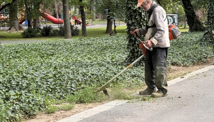 Това съобщиха от Община Русе Това съобщиха от Община Русе