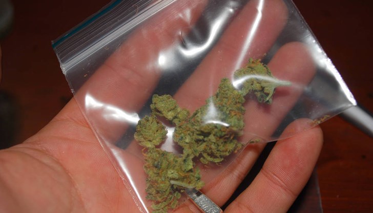 22-годишният мъж заявил, че е марихуаната била за лична употреба 22-годишният мъж заявил, че е марихуаната била за лична употреба