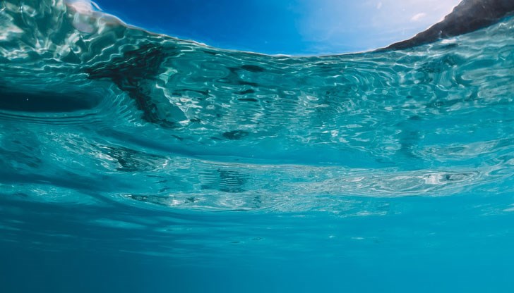 Целта е да се повиши осведомеността на международната общественост Целта е да се повиши осведомеността на международната общественост