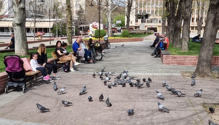 Днешният температурен рекорд е 37,7 градуса Днешният температурен рекорд е 37,7 градуса