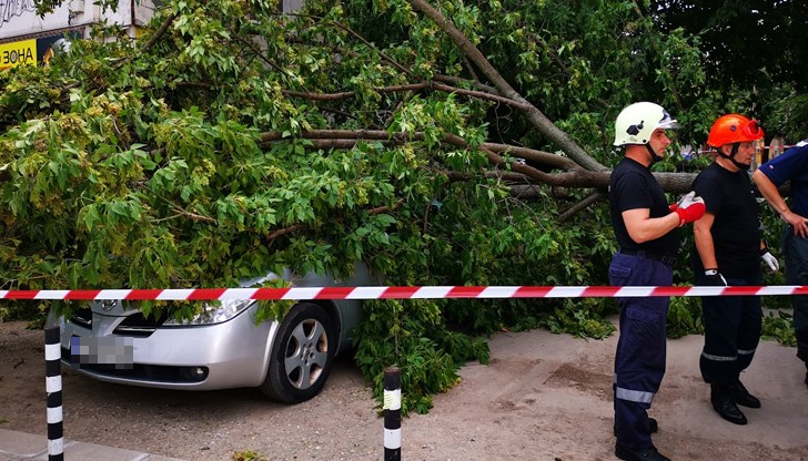 Над 230 служители от дежурните екипи отстраняват щетите след снощната буря в Русе Над 230 служители от дежурните екипи отстраняват щетите след снощната буря в Русе