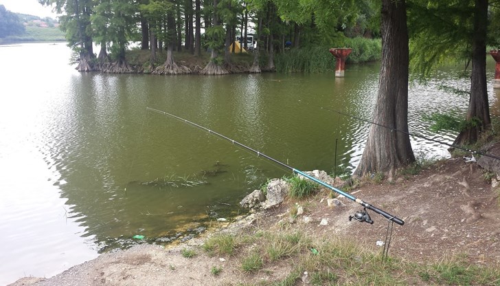 Денонощна работа на пожарните екипи в Русе Денонощна работа на пожарните екипи в Русе