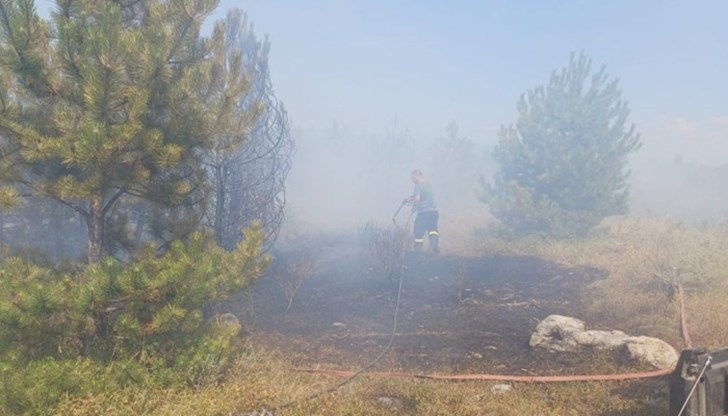 Пожар обхвана местността Църнако край Национален парк "Пирин" Пожар обхвана местността Църнако край Национален парк "Пирин"