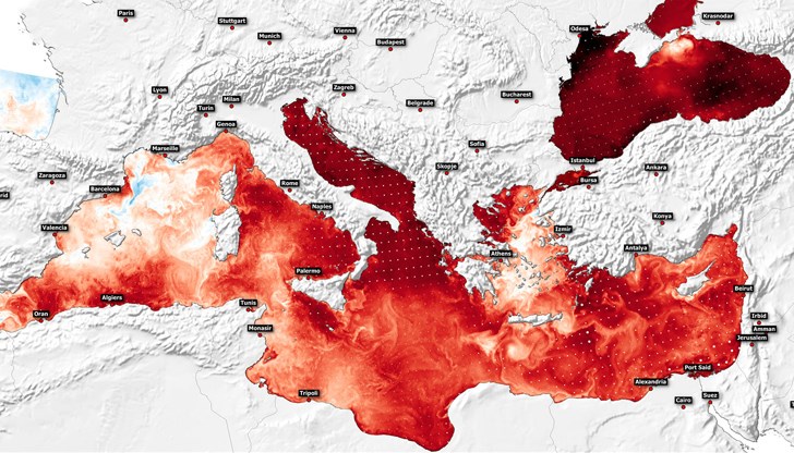 Горещите вълни в моретата заплашват биоразнообразието и икономиката