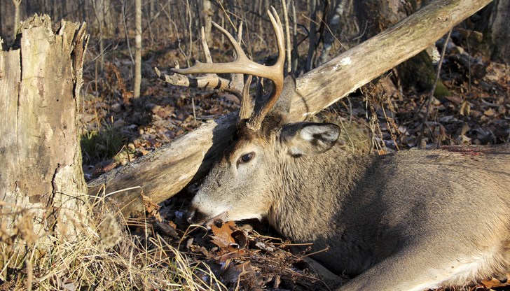 Тялото му е открито в нива край село Градище Тялото му е открито в нива край село Градище