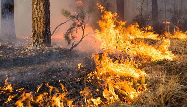 СЦДП призовава за повишено внимание и спазване на правилата за пожарна безопасност СЦДП призовава за повишено внимание и спазване на правилата за пожарна безопасност