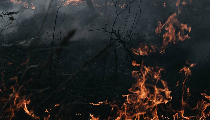 Силен вятър усложнява гасенето на огъня Силен вятър усложнява гасенето на огъня