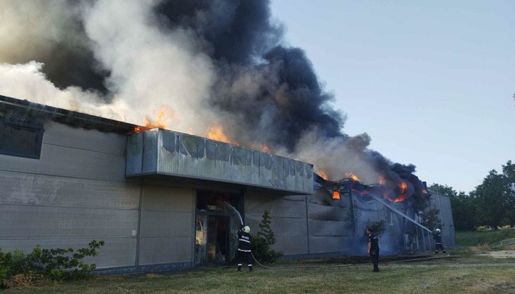 Оказа се 26-годишен мъж от село Гецово, в чийто дом откриха марихуана Оказа се 26-годишен мъж от село Гецово, в чийто дом откриха марихуана