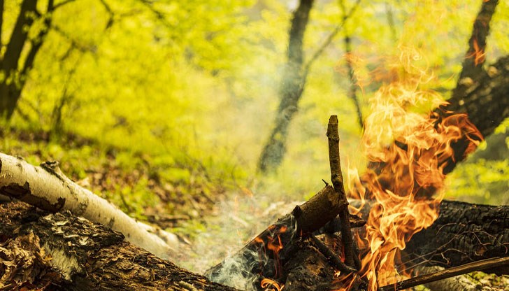 Служебният премиер сформира междуведомствен щаб Служебният премиер сформира междуведомствен щаб