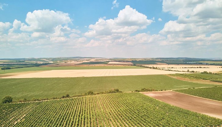 Доклад на НСИ разкрива големи различия между областите Доклад на НСИ разкрива големи различия между областите