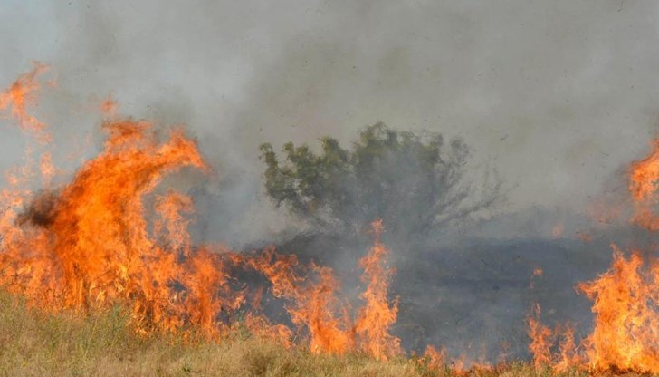 Тежки пожари обхванаха Хасковска област Тежки пожари обхванаха Хасковска област