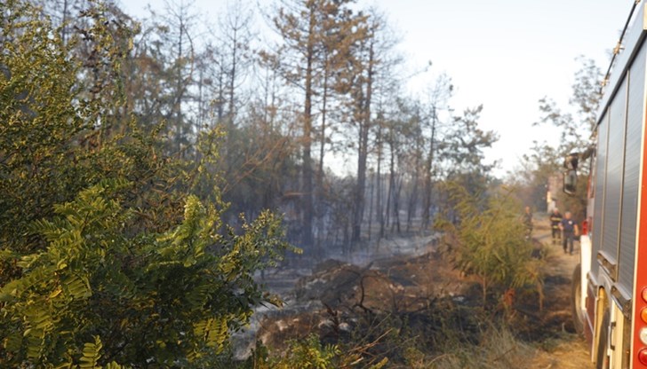 Пожарникарите са гасили локални огнища, възобновяващи се в трудно достъпните и силно затревени и обраснали участъци Пожарникарите са гасили локални огнища, възобновяващи се в трудно достъпните и силно затревени и обраснали участъци