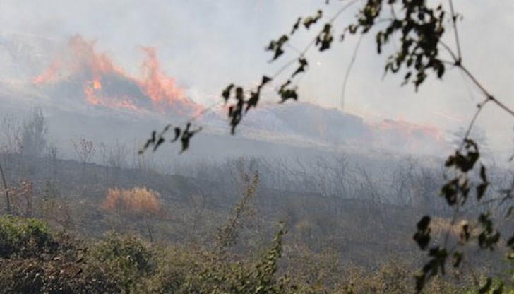 За ограничаването на пламъците е помогнала и направената просека от 2 км За ограничаването на пламъците е помогнала и направената просека от 2 км