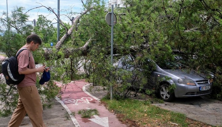 Силният вятър, достигащ скорости до 200 километра в час, е причинил значителни щети