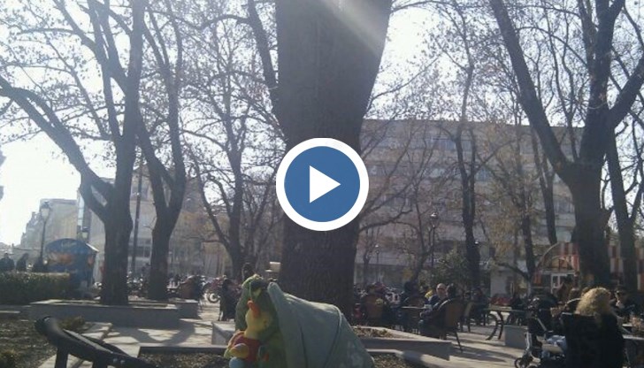 Химн на „Лайното“ – Русе: Триумф на изкуствения интелект и култовото заведение