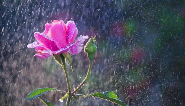 Очакват се интензивни валежи и гръмотевични бури в северозападната част на страната Очакват се интензивни валежи и гръмотевични бури в северозападната част на страната