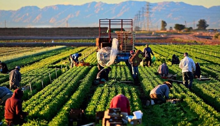 Турция се нарежда сред първите десет световни лидери по селскостопанско производство