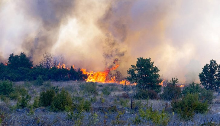 Запалени стърнища причиняват големи щети, кметът апелира за внимание Запалени стърнища причиняват големи щети, кметът апелира за внимание