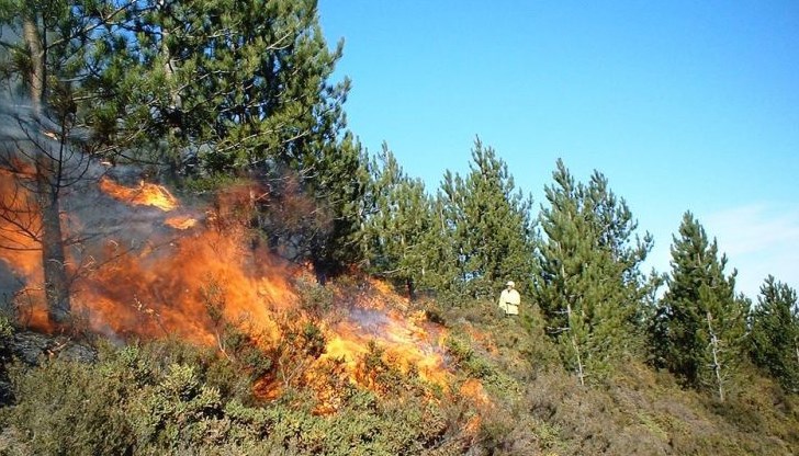 Огънят гори от вчера, но заради силният вятър не е могъл да бъде потушен Огънят гори от вчера, но заради силният вятър не е могъл да бъде потушен