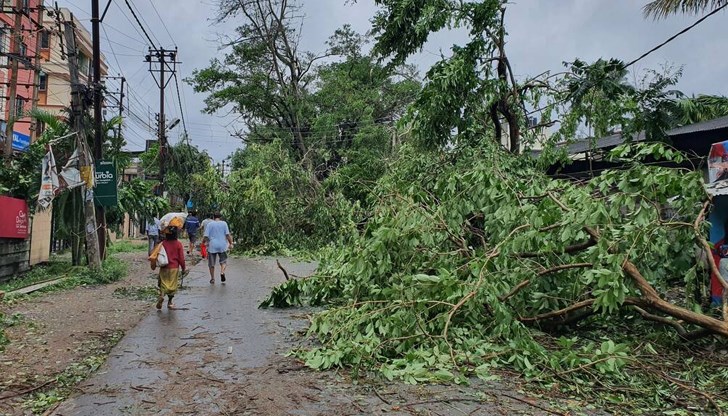 Изкоренени са дървета, комини са съборени