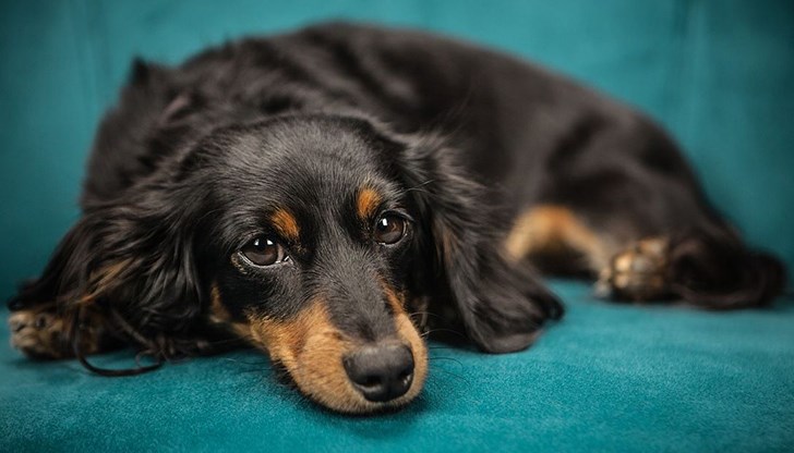 Властите уверяват, че няма нужда от допълнителни мерки в Русе Властите уверяват, че няма нужда от допълнителни мерки в Русе