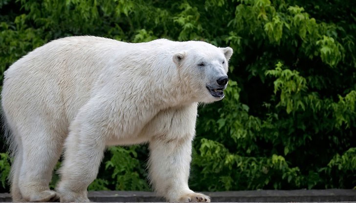 Свидетелите и служителите първоначално не осъзнали сериозността на ситуацията Свидетелите и служителите първоначално не осъзнали сериозността на ситуацията