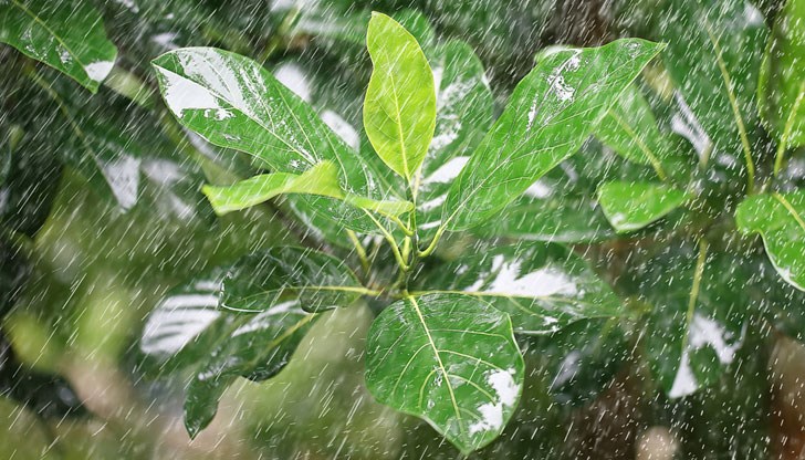 Жълт код за 13 области в страната Жълт код за 13 области в страната