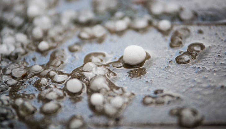 Горещата вълна, обхванала Югоизточна Европа, тази седмица ще достигне своя апогей Горещата вълна, обхванала Югоизточна Европа, тази седмица ще достигне своя апогей