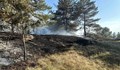 Пожарът край село Сенокос навлезе в гората