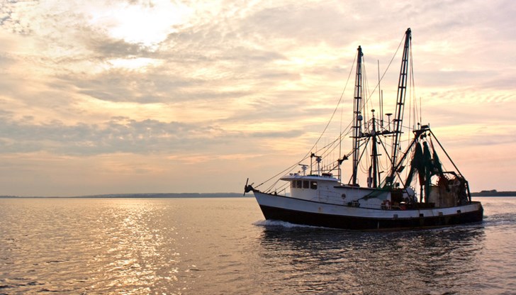 Балтийските държави настояват за действия срещу незаконния улов в техните води Балтийските държави настояват за действия срещу незаконния улов в техните води