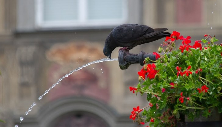 Въпреки горещините, на места в Западна България ще има краткотрайни валежи и гръмотевици Въпреки горещините, на места в Западна България ще има краткотрайни валежи и гръмотевици